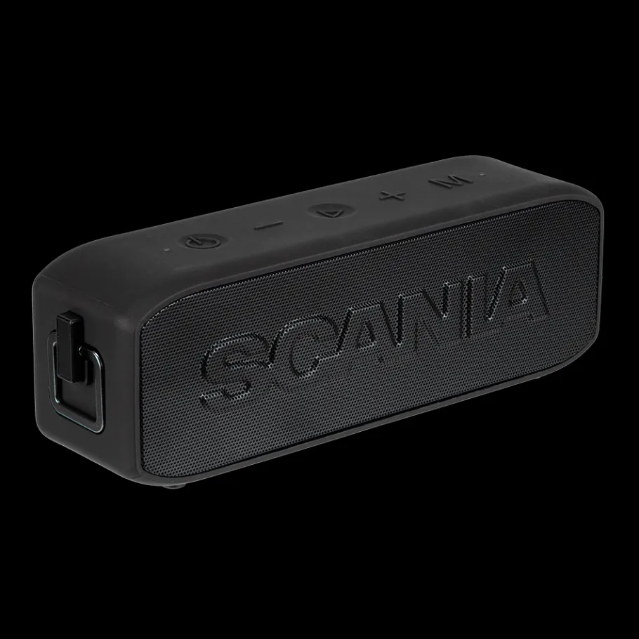 enceinte_scania_2.webp Enceintes*Scania Enceinte