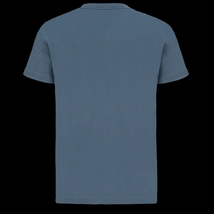 Tee-shirts*Scania T-shirt bleu "Grand Griffon Duo" pour homme